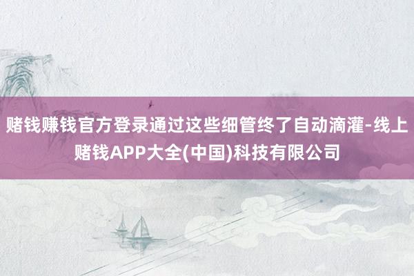 赌钱赚钱官方登录通过这些细管终了自动滴灌-线上赌钱APP大全(中国)科技有限公司